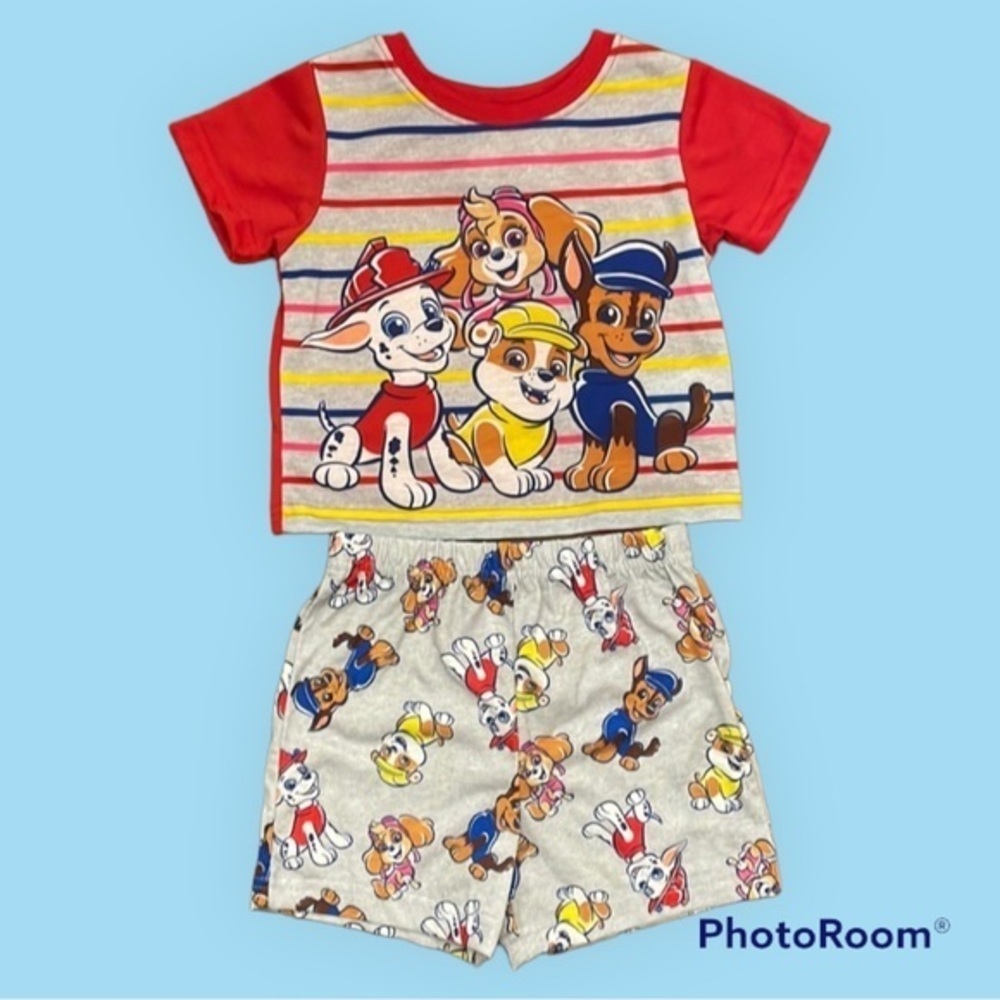 NWOT Paw Patrol Toddler Sleep Set- 17